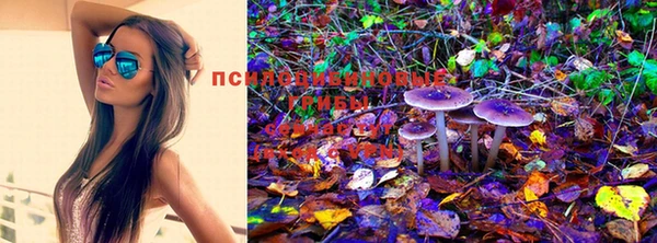 мефедрон мука Дмитровск