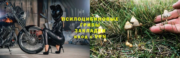 СК Тобольск