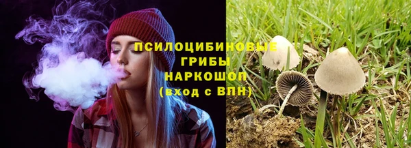 СК Тобольск