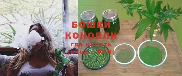 прущая мука Дмитриев