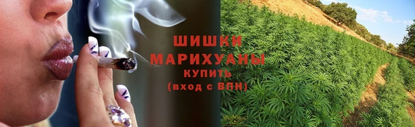 прущая мука Дмитриев