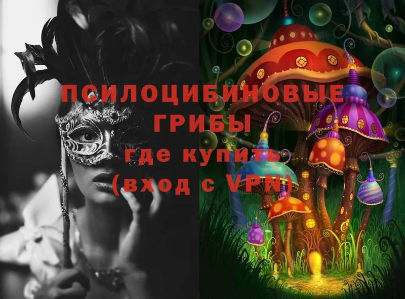 купить   ссылка на мегу рабочий сайт  Галлюциногенные грибы Cubensis  Изобильный 