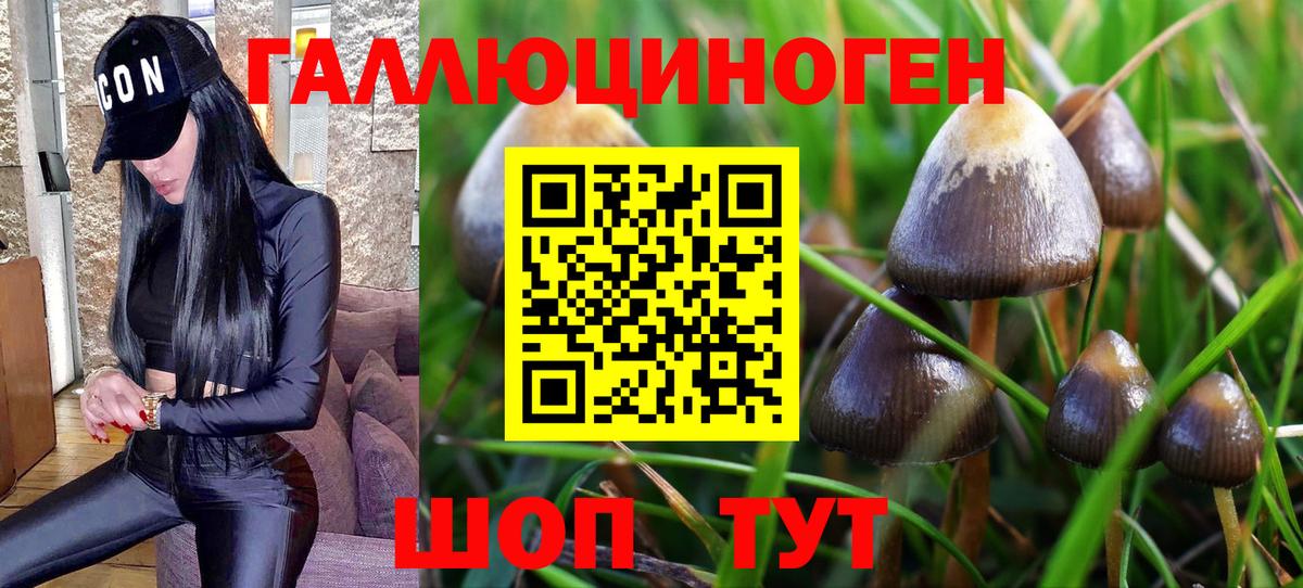 Галлюциногенные грибы мухоморы  Галлюциногенные грибы Magic Shrooms  наркота  Изобильный 