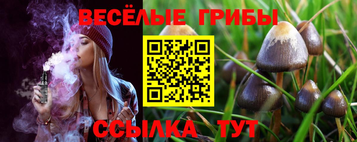 Изобильный  Галлюциногенные грибы прущие грибы  Вход с VPN 